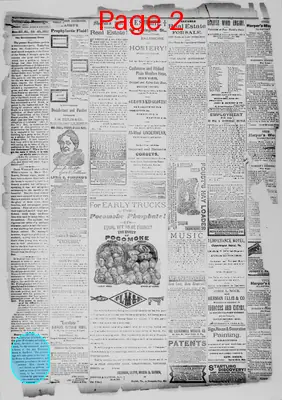 Page thumbnail for Democratic Messenger