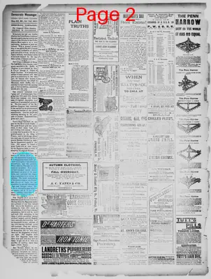Page thumbnail for Democratic Messenger