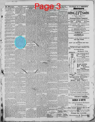 Page thumbnail for Democratic Messenger