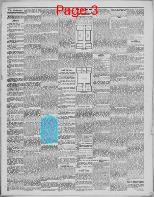 Page thumbnail for Democratic Messenger