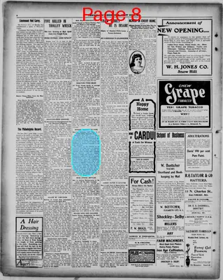 Page thumbnail for Democratic Messenger