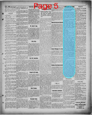 Page thumbnail for Democratic Messenger