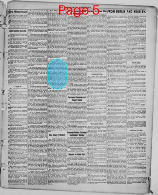 Page thumbnail for Democratic Messenger