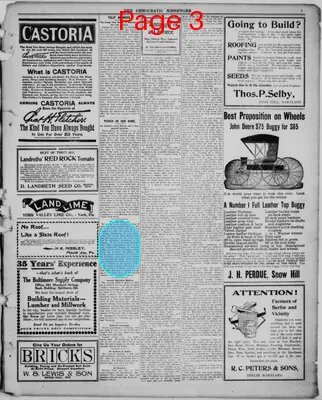 Page thumbnail for Democratic Messenger