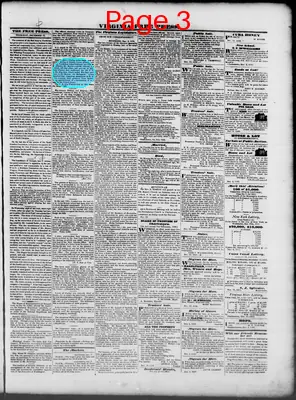 Page thumbnail for Virginia Free Press