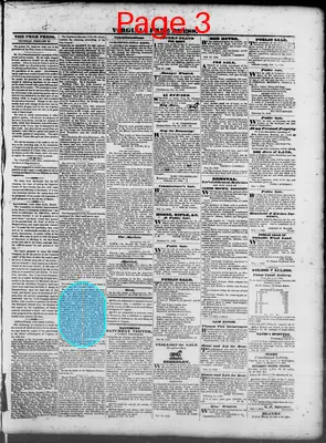 Page thumbnail for Virginia Free Press