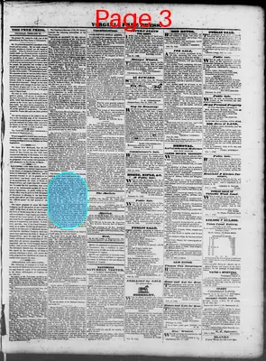 Page thumbnail for Virginia Free Press