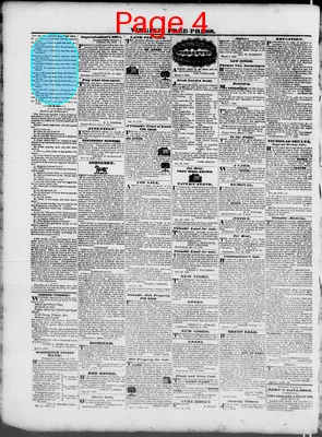 Page thumbnail for Virginia Free Press