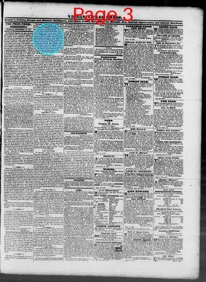 Page thumbnail for Virginia Free Press