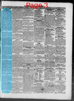 Page thumbnail for Virginia Free Press