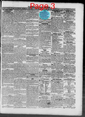 Page thumbnail for Virginia Free Press