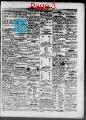Page thumbnail for Virginia Free Press