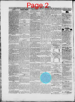 Page thumbnail for Virginia Free Press