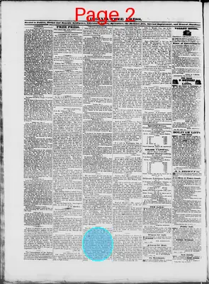 Page thumbnail for Virginia Free Press