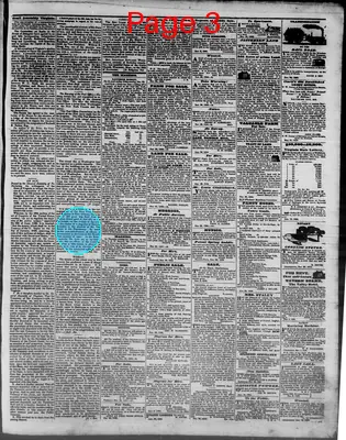 Page thumbnail for Virginia Free Press