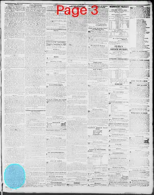 Page thumbnail for Virginia Free Press