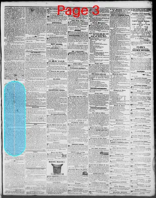 Page thumbnail for Virginia Free Press