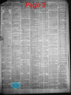 Page thumbnail for Virginia Free Press