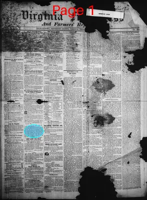 Page thumbnail for Virginia Free Press