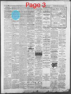 Page thumbnail for Middletown Transcript