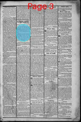 Page thumbnail for South Branch Intelligencer