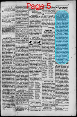 Page thumbnail for South Branch Intelligencer