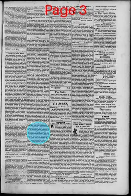 Page thumbnail for South Branch Intelligencer