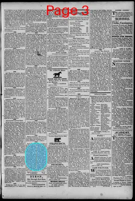 Page thumbnail for South Branch Intelligencer