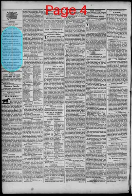 Page thumbnail for South Branch Intelligencer