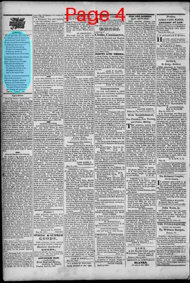 Page thumbnail for South Branch Intelligencer