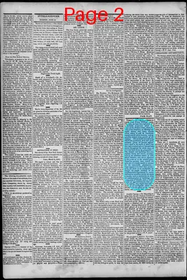 Page thumbnail for South Branch Intelligencer