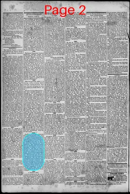 Page thumbnail for South Branch Intelligencer