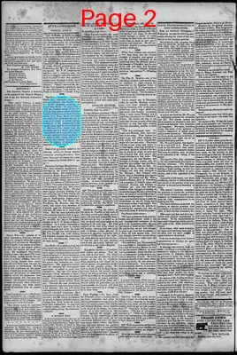 Page thumbnail for South Branch Intelligencer