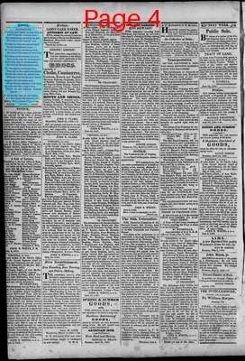 Page thumbnail for South Branch Intelligencer