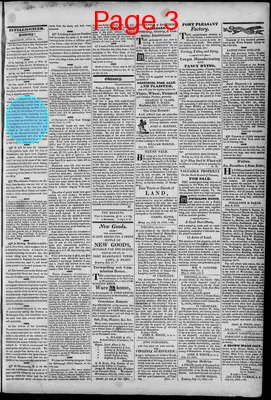 Page thumbnail for South Branch Intelligencer