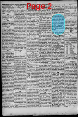 Page thumbnail for South Branch Intelligencer