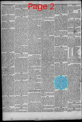 Page thumbnail for South Branch Intelligencer