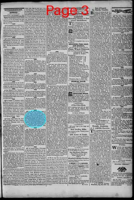 Page thumbnail for South Branch Intelligencer