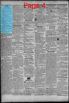 Page thumbnail for South Branch Intelligencer