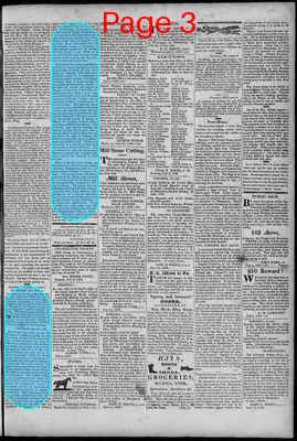 Page thumbnail for South Branch Intelligencer