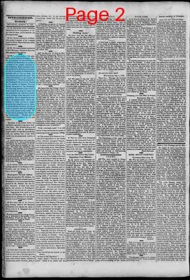 Page thumbnail for South Branch Intelligencer