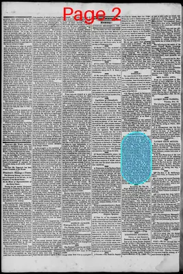 Page thumbnail for South Branch Intelligencer
