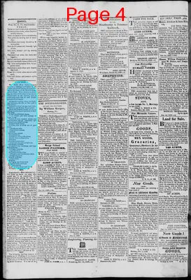 Page thumbnail for South Branch Intelligencer