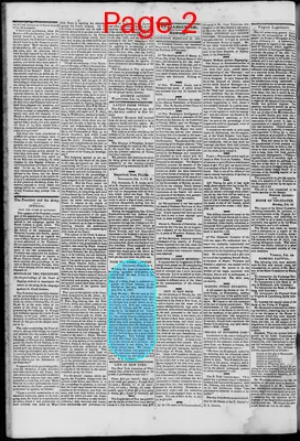 Page thumbnail for South Branch Intelligencer
