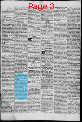 Page thumbnail for South Branch Intelligencer