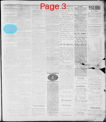 Page thumbnail for South Branch Intelligencer