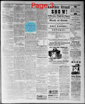 Page thumbnail for South Branch Intelligencer