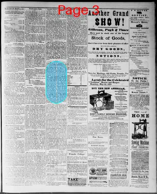 Page thumbnail for South Branch Intelligencer