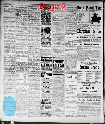 Page thumbnail for South Branch Intelligencer