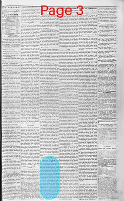 Page thumbnail for The Democrat
